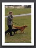 DSC_1856