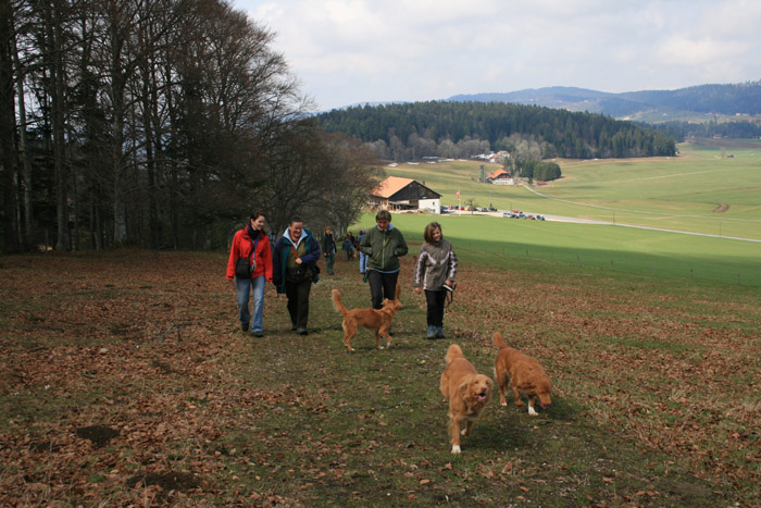 CIMG_2222