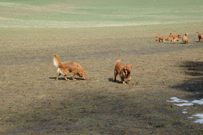 DSC_0056