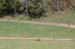 KDSC_0084