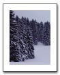 DSC00591
