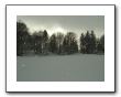 IMGP0514