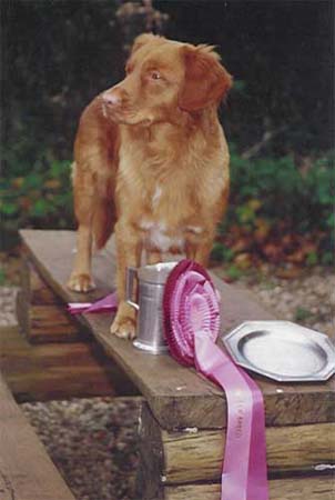 n_emopokal