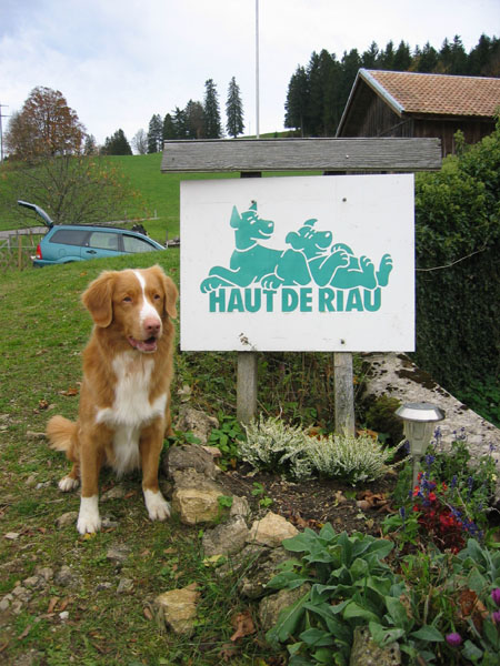 magic in switzerland922