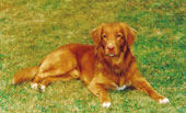Ronny