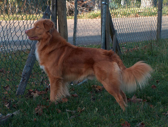 nov05g